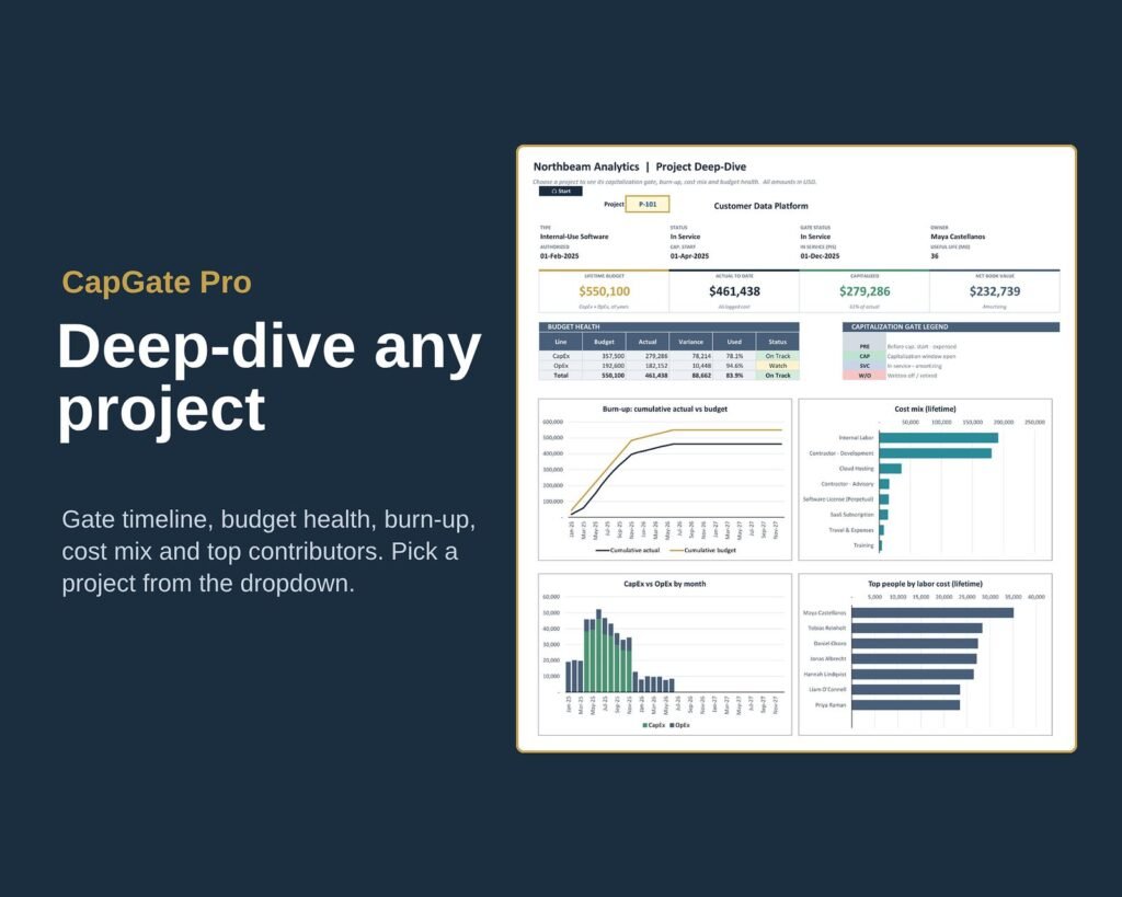Project deep-dive: gate dates, budget health, burn-up chart, cost mix, CapEx vs OpEx by month and top contributors for one project.